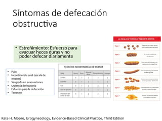 piso pelvico anatomia de uroginecologia.. | PPT