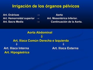 Irrigación de los órganos pélvicosIrrigación de los órganos pélvicos
Art. OváricasArt. Ováricas →→ AortaAorta
Art. Hemorroidal superiorArt. Hemorroidal superior →→ Art. Mesentérica Inferior.Art. Mesentérica Inferior.
Art. Sacra MediaArt. Sacra Media →→ Continuación de la Aorta.Continuación de la Aorta.
Aorta AbdominalAorta Abdominal
⇓⇓
Art. Iliaca Común Derecha e IzquierArt. Iliaca Común Derecha e Izquierdada
⇓⇓ ⇓⇓
Art. Iliaca Interna Art. Iliaca ExternaArt. Iliaca Interna Art. Iliaca Externa
Art. HipogástricaArt. Hipogástrica
 