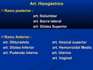 Art. HipogástricaArt. Hipogástrica
 Ramo posterior :Ramo posterior :
art. Iliolumbarart. Iliolumbar
art. Sacra lateralart. Sacra lateral
art. Glútea Superiorart. Glútea Superior
 Ramo Anterior :Ramo Anterior :
art. Obturadota art. Vesical superiorart. Obturadota art. Vesical superior
art. Glútea Inferior art. Hemorroidal Mediaart. Glútea Inferior art. Hemorroidal Media
art. Pudenda interna art. Uterinaart. Pudenda interna art. Uterina
art. Vaginalart. Vaginal
 
