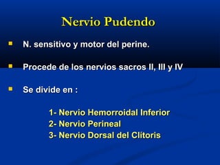 Nervio PudendoNervio Pudendo
 N. sensitivo y motor del perine.N. sensitivo y motor del perine.
 Procede de los nervios sacros II, III y IVProcede de los nervios sacros II, III y IV
 Se divide en :Se divide en :
1- Nervio Hemorroidal Inferior1- Nervio Hemorroidal Inferior
2- Nervio Perineal2- Nervio Perineal
3- Nervio Dorsal del Clítoris3- Nervio Dorsal del Clítoris
 