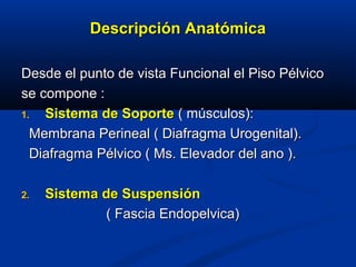Descripción AnatómicaDescripción Anatómica
Desde el punto de vista Funcional el Piso PélvicoDesde el punto de vista Funcional el Piso Pélvico
se compone :se compone :
1.1. Sistema de SoporteSistema de Soporte ( músculos):( músculos):
Membrana Perineal ( Diafragma Urogenital).Membrana Perineal ( Diafragma Urogenital).
Diafragma Pélvico ( Ms. Elevador del ano ).Diafragma Pélvico ( Ms. Elevador del ano ).
2.2. Sistema de SuspensiónSistema de Suspensión
( Fascia Endopelvica)( Fascia Endopelvica)
 