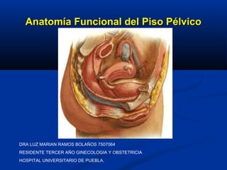 Anatomía Funcional del Piso PélvicoAnatomía Funcional del Piso Pélvico
DRA LUZ MARIAN RAMOS BOLAÑOS 7507064
RESIDENTE TERCER AÑO GINECOLOGIA Y OBSTETRICIA
HOSPITAL UNIVERSITARIO DE PUEBLA.
 