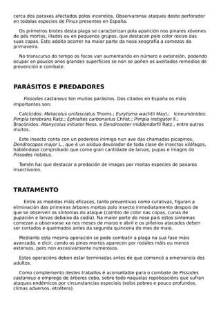 cerca dos paraxes afectados polos incendios. Observaronse ataques deste perforador
en todalas especies de Pinus presentes en España.
Os primeiros brotes desta plaga se caracterizan pola aparición nos pinares xóvenes
de pés mortos, illados ou en pequenos grupos, que destacan polo color roxizo das
suas copas. Esto adoita ocorrer na maior parte da nosa xeografía a comezos da
primaveira.
No transcurso do tempo os focos van aumentando en número e extensión, podendo
ocupar en poucos anos grandes superficies se non se poñen os axeitados remedios de
prevención e combate.

PARÁSITOS E PREDADORES
Pissodes castaneus ten muitos parásitos. Dos citados en España os máis
importantes son:
Calcícidos: Metacolus unifasciatus Thoms.; Eurytoma wachtli Mayl.; Icneumónidos:
Pimpla terebrans Ratz.; Ephialtes carbonarius Christ.; Pimpla instigator F.;
Bracónidos: Atanycolus initiator Ness. e Dendrosoter middendorfii Ratz., entre outros
muitos.
Este insecto conta con un poderoso inimigo nun ave das chamadas picapinos,
Dendrocopos major L., que é un asiduo devorador de toda clase de insectos xilófagos,
habiéndose comprobado que come gran cantidade de larvas, pupas e imagos do
Pissodes notatus.
Tamén hai que destacar a predación de imagos por moitas especies de paxaros
insectívoros.

TRATAMENTO
Entre as medidas máis eficaces, tanto preventivas como curativas, figuran a
eliminación das primeiras árbores mortas polo insecto inmediatamente despois de
que se observen os síntomas do ataque (cambio de color nas copas, cunas de
pupación e larvas debaixo da codia). Na maior parte do noso país estos síntomas
comezan a observarse xa nos meses de marzo e abril e os piñeiros atacados deben
ser cortados e queimados antes da segunda quincena do mes de maio.
Mediante esta mesma operación se pode combatir a plaga na sua fase máis
avanzada, e dicir, cando os pinos mortos aparecen por rodales máis ou menos
extensos, pero non excesivamente numerosos.
Estas operacións deben estar terminadas antes de que comencé a emerxencia dos
adultos.
Como complemento destes traballos é aconsellable para o combate de Pissodes
castaneus o emprego de árbores cebo, sobre todo naquelas repoboacións que sufran
ataques endémicos por circunstancias especiais (solos pobres e pouco profundos,
climas adversos, etcétera).

 