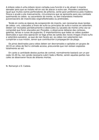 A árbore cebo é unha árbore recen cortada,cuxa función é a de atraer ó insecto
danador para que se instale nél en vez de atacar a outro san. Pissodes castaneus,
igual que muitos outros perforadores de piñeiros, sente gran preferencia pola madeira
fresca e acude a ela masivamente, circunstancia que se aproveita para seu combate
queimando os cebos ou sacandoios do monte, ou ben tratandoios mediante
pulverizacións de insecticidas organofosforados ou piretroides.
Tendo en conta as épocas da ovisposición do insecto, son necesarias duas tandas
de cebos: uns, colocados a finais de xuño ou principios de xuño e outros en setembro.
Deben ser revisados periódicamente e destruidos ou sacados do monte unha vez se
comprobé que foron atacados por Pissodes, o observarse debaixo das cortezas,
galerías, larvas e cunas de pupación. É importantísimo que todos os cebos queden
destruidos e que esta operación se faga antes da salida dos novos imagos (maio-xuño
e setembro-outubro), xa que de non facelo así, os cebos non solamente non
cumplirían a sua misión, senon que contribuirían á propagación da plaga.
Os pinos destinados para cebos deben ser desrramados e apilados en grupos de
10-15 en sitios de fácil e cómodo acceso, procurando que non estean expostos
totalmente ao sol.
En canto a cantidade destos puntos de control, normalmente bastará con un por
cada 15-20 ha, non sendo necesario cubrir todo o Monte, senón aquelas partes nas
cales se observaron focos de árbores mortas.

N. Romanyk e D. Cadaia.

 