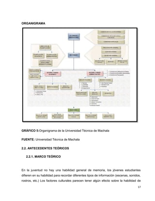 17 
ORGANIGRAMA 
GRÁFICO 5:Organigrama de la Universidad Técnica de Machala 
FUENTE: Universidad Técnica de Machala 
2.2. ANTECEDENTES TEÓRICOS 
2.2.1. MARCO TEÓRICO 
En la juventud no hay una habilidad general de memoria, los jóvenes estudiantes 
difieren en su habilidad para recordar diferentes tipos de información (escenas, sonidos, 
rostros, etc.) Los factores culturales parecen tener algún efecto sobre la habilidad de 
 