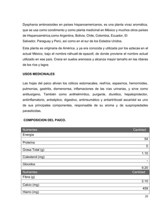 Dysphania ambrosioides en países hispanoamericanos, es una planta vivaz aromática, 
que se usa como condimento y como planta medicinal en México y muchos otros países 
de Hispanoamérica,como Argentina, Bolivia, Chile, Colombia, Ecuador, El 
Salvador, Paraguay y Perú, así como en el sur de los Estados Unidos. 
Esta planta es originaria de América, y ya era conocida y utilizada por los aztecas en el 
actual México, bajo el nombre náhuatl de epazotl, de donde proviene el nombre actual 
utilizado en ese país. Crece en suelos arenosos y alcanza mayor tamaño en las riberas 
de los ríos y lagos 
20 
USOS MEDICINALES 
Las hojas del paico alivian los cólicos estomacales, resfríos, espasmos, hemorroides, 
pulmonías, gastritis, dismenorrea, inflamaciones de las vías urinarias, y sirve como 
antitusígeno, También como antihelmíntico, purgante, diurético, hepatoprotector, 
antiinflamatorio, antiséptico, digestivo, antirreumático y antiartríticoel ascaridol es uno 
de sus principales componentes, responsable de su aroma y de suspropiedades 
parasiticidas. 
COMPOSICION DEL PAICO. 
Nutrientes Cantidad 
Energía 
54 
Proteína 
5 
Grasa Total (g) 
1.10 
Colesterol (mg) 
- 
Glúcidos 
9.20 
Nutrientes Cantidad 
Fibra (g) 
2.10 
Calcio (mg) 
459 
Hierro (mg) 
 