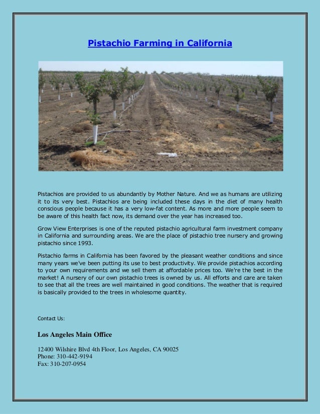 Pistachio farming in california