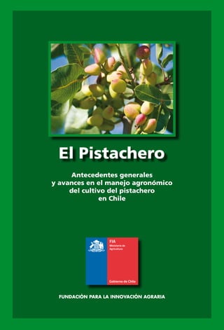 Antecedentes generales
y avances en el manejo agronómico
del cultivo del pistachero
en Chile
FUNDACIÓN PARA LA INNOVACIÓN AGRARIA
 