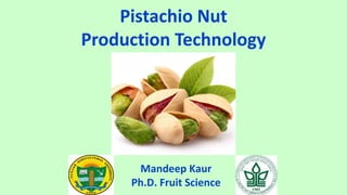 Pistachio Nut
Production Technology
Mandeep Kaur
Ph.D. Fruit Science
 