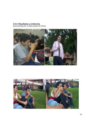 2.5.4. Resultados y evidencias
DEGUSTACIÓN DEL TÉ ENDULZANTE DE STEVIA

43

 