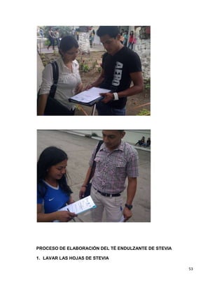 PROCESO DE ELABORACIÓN DEL TÉ ENDULZANTE DE STEVIA
1. LAVAR LAS HOJAS DE STEVIA
53

 