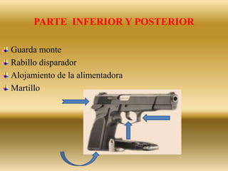 PARTE INFERIOR Y POSTERIOR
Guarda monte
Rabillo disparador
Alojamiento de la alimentadora
Martillo
 