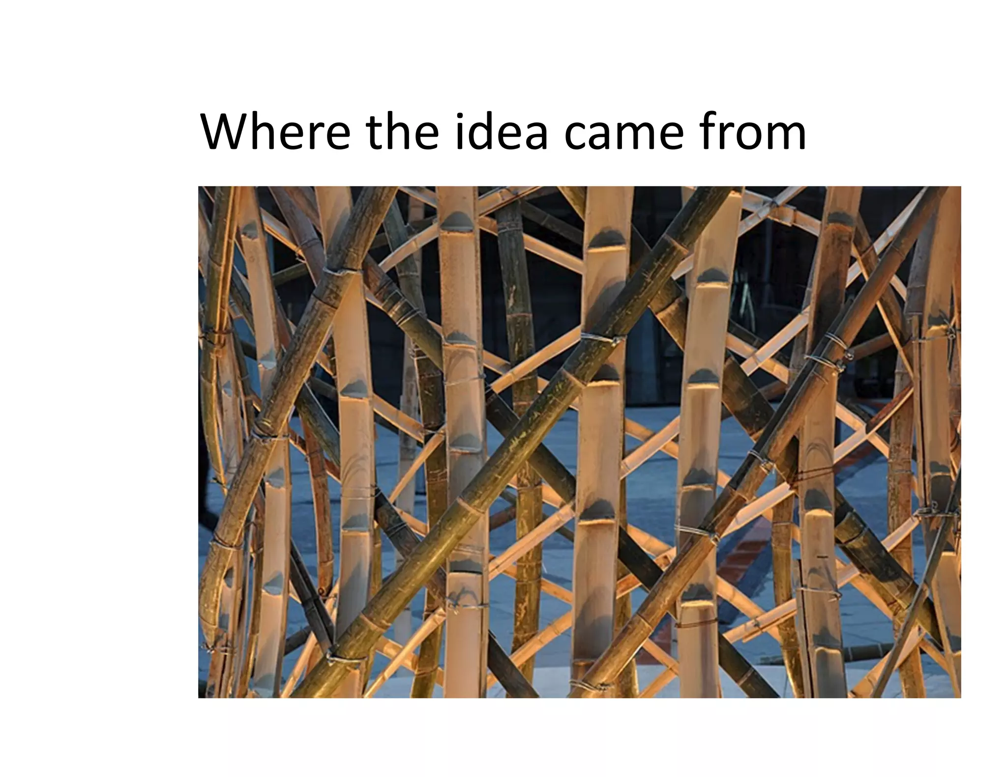 Where the idea came from
 