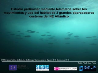 Estudio preliminar mediante telemetría sobre los movimientos y uso del hábitat de 3 grandes depredadores costeros del NE Atlántico ____________________________________________________   Pablo Pita & Juan Freire  XVI Simposio Ibérico de Estudios de Biología Marina. Alicante (Spain), 6-10 Septiembre 2010 