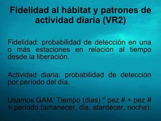 Fidelidad al hábitat y patrones de actividad diaria (VR2) <ul><li>Fidelidad: probabilidad de detección en una o más estaci...