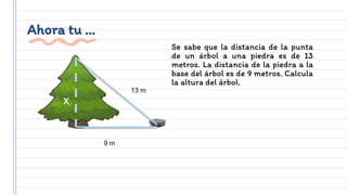 Ahora tu …
Se sabe que la distancia de la punta
de un árbol a una piedra es de 13
metros. La distancia de la piedra a la
base del árbol es de 9 metros. Calcula
la altura del árbol.
13 m
9 m
x
 