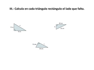 III.- Calcula en cada triángulo rectángulo el lado que falta. 