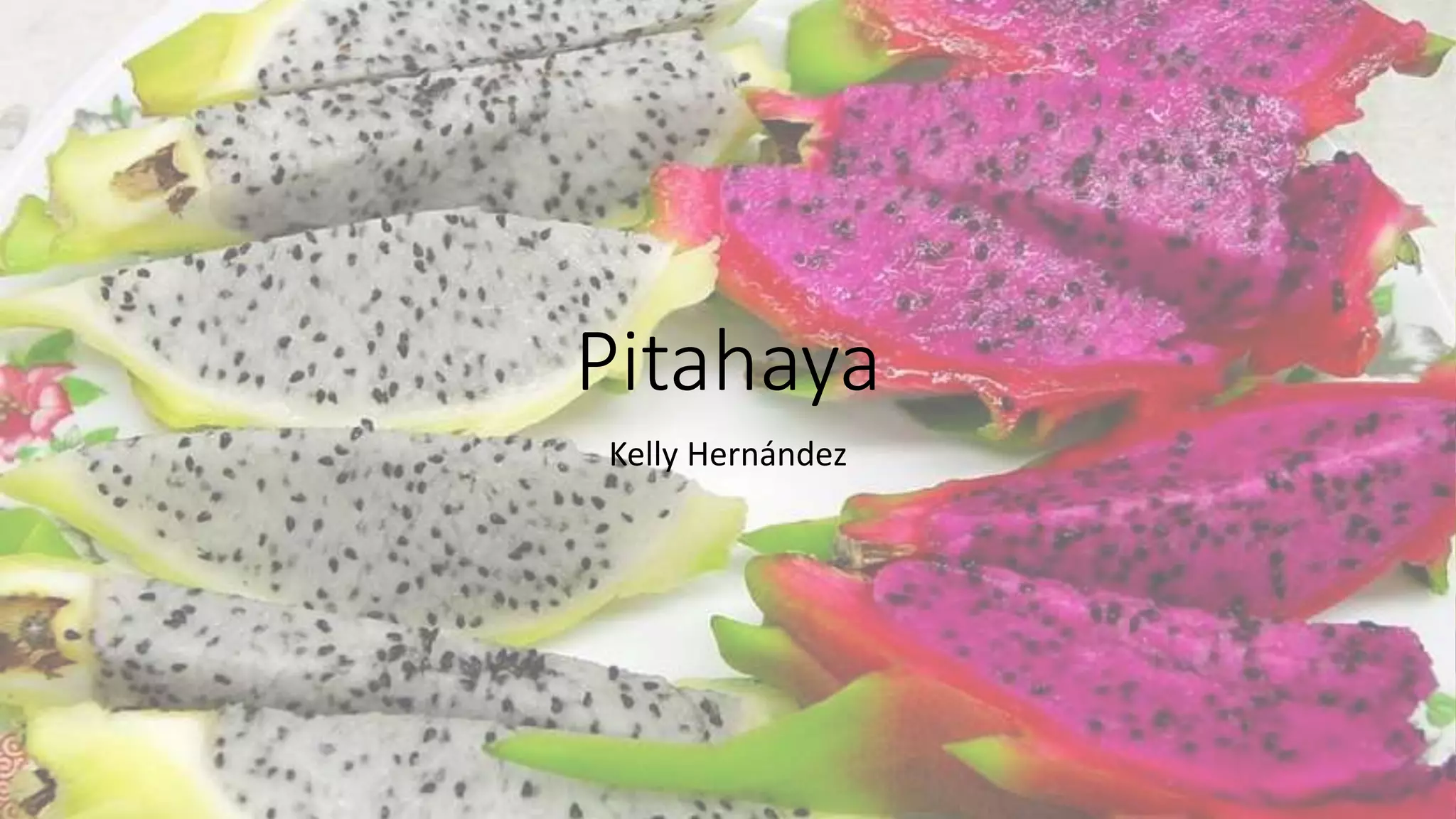 Pitahaya Por Kelly Hern ndez PPT pitahaya-por-kelly-hern-ndez-ppt