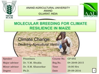 ANAND AGRICULTURAL UNIVERSITY
ANAND
GUJARAT, INDIA
Speaker Pitambara Course No. GP 692
Major advisor Dr. Y.M. Shukla Reg.No. 04-2648-2015
Minor advisor Dr. S.M. Khanorkar Time 16:00 Hrs
Degree Ph.D. Date 29-09-2016
MOLECULAR BREEDING FOR CLIMATE
RESILIENCE IN MAIZE
1 1
 