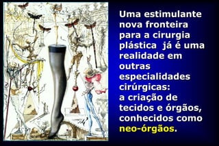 Uma estimulante
nova fronteira
para a cirurgia
plástica já é uma
realidade em
outras
especialidades
cirúrgicas:
a criação de
tecidos e órgãos,
conhecidos como
neo-órgãos.
 