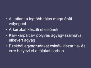 A katlant a legtöbb tálas maga építi vályogbólA karokat készíti el elsőnekKar=karpálca= polyvás agyag=szalmával elkevert agyagEzekből agyagrudakat csinál- kiszárítja- és erre helyezi el a tálakat sorban