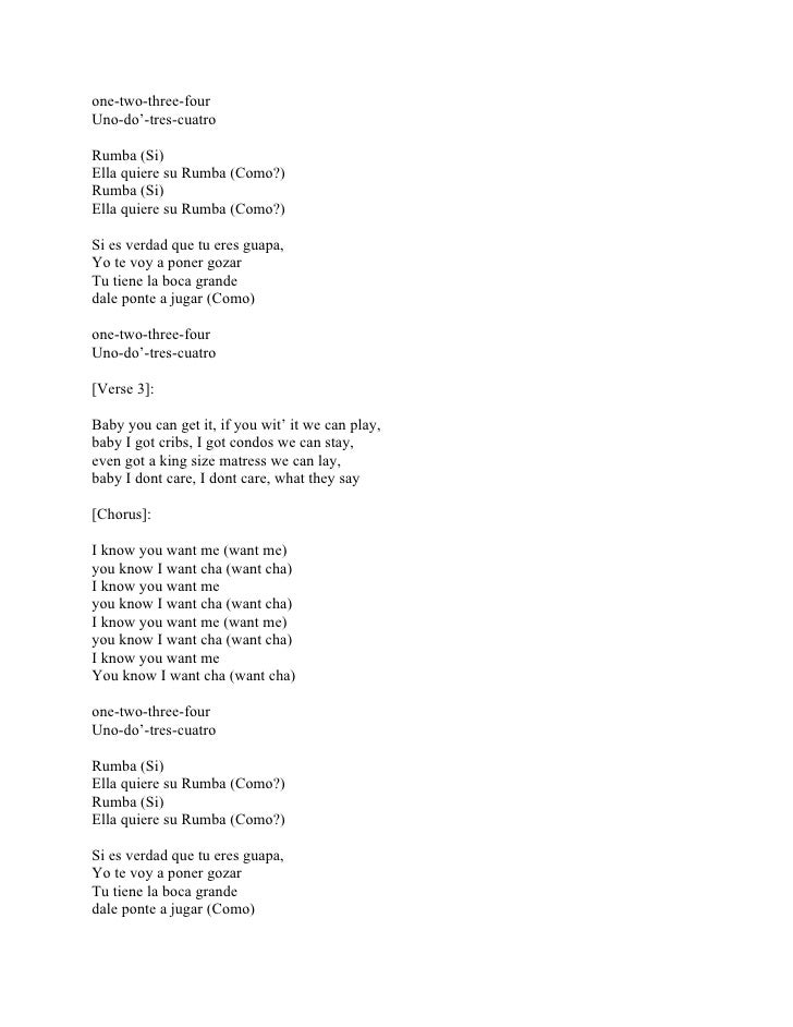 Pitbull I Know You Want Me Calle Ocho Lyrics Pitbull I Know You Want Me Calle Ocho Lyrics