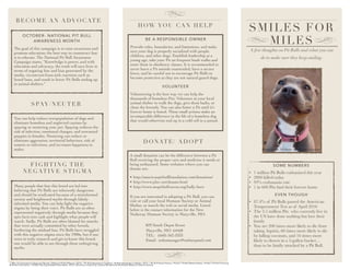 SMILES FOR
MILES
A few thoughts on Pit Bulls and what you can
do to make sure they keep smiling 

HOW YOU CA N HEL P
SOME NUMBERS
• 1 million Pit Bulls euthanized this year
• 2800 killed today
• 93% euthanasia rate
• 1 in 600 Pits ﬁnd their forever home
EVEN THOUGH
• 87.4% of Pit Bulls passed the American
Temperament Test as of April 2016
• The 3.5 million Pits who currently live in
the US have done nothing but love their
family
• You are 200 times more likely to die from
taking Aspirin, 60 times more likely to die
by falling coconuts, and 16 times more
likely to drown in a 5-gallon bucket…
than to be fatally attacked by a Pit Bull.
DONATE/ A DOP T
BECOME AN ADVOCAT E
SPAY/NE U T ER
OCTOBER- NATIONAL PIT BULL
AWARENESS MONTH
The goal of this campaign is to raise awareness and
promote education; the best way to counteract fear
is to educate. The National Pit Bull Awareness
Campaign states, “Knowledge is power, and with
education and advocacy, the truth will save lives in
terms of negating fear and bias generated by the
media, circumvent knee-jerk reactions such as
breed bans, and result in fewer Pit Bulls ending up
in animal shelters.”
You can help reduce overpopulation of dogs and
eliminate homeless and neglected canines by
spaying or neutering your pet. Spaying reduces the
risk of infection, emotional changes, and unwanted
puppies in females. Neutering can reduce or
eliminate aggression, territorial behaviors, risk of
tumors or infections, and increases happiness in
males.
FI GHT ING T HE
NEGAT IVE ST IGMA
Many people that fear this breed are led into
believing that Pit Bulls are inherently dangerous
and should be eradicated because of a misinformed
society and heightened myths through falsely
informed media. You can help ﬁght the negative
stigma by being their voice. Pit Bulls are so often
represented negatively through media because they
spin facts into cash and highlight what people will
watch. Sadly, Pit Bulls are often blamed for attacks
that were actually committed by other breeds,
furthering the mislead fear. Pit Bulls have struggled
with this negative stigma since the 1900s, but if one
were to truly research and get to know this breed,
one would be able to see through these unforgiving
myths.
BE A RESPONSIBLE OWNER
Provide rules, boundaries, and limitations, and make
sure your dog is properly socialized with people,
children, and other dogs. Establish leadership at a
young age, take your Pit on frequent leash walks and
enter them in obedience classes. It is recommended to
never leave a Pit outside unattended, have a secure
fence, and be careful not to encourage Pit Bulls to
become protective as they are not natural guard dogs.
VOLUNTEER
Volunteering is the best way we can help the
thousands of homeless Pits. Volunteer at your local
animal shelter to walk the dogs, give them baths, or
clean the kennels. You can also foster a Pit until it’s
forever home is found. These small actions make an
incomparable difference in the life of a homeless dog
that would otherwise end up in a cold cell in a pound.
A small donation can be the difference between a Pit
Bull receiving the proper care and medicine it needs or
being euthanized. Some websites where you can
donate are:
• http://americanpitbullfoundation.com/donations/
• http://www.pbrc.net/donate.html
• http://www.mopitbullrescue.org/bully-hero
If you are interested in adopting a Pit Bull, you can
visit or call your local Humane Society or Animal
Shelter, or search the web or social media. Listed
below is the contact information for the New
Nodaway Humane Society in Maryville, MO.
829 South Depot Street
Maryville, MO 64468
TEL: (660) 562-3333
Email: nnhsmanager@embarqmail.com
Photo credits: The Dodo- for the love of animals
| “Why it’s Important to Spay and Neuter.” Missouri Pit Bull Rescue. 2016. | “Pit Bull Awareness Coalition.” Pit Bull Awareness Coalition. 2015. | “Pit Bull Breed History- Pit Bull.” Pit Bull Breed History- Pit Bull. |“Pit Bull Training
& Breed Information.” Pit Bull Training & Breed Information. 2015. | Brochure created by: Savana Wiederholt, Northwest Missouri State University
 
