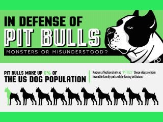 In Defense of Pit Bulls: Monsters or Misunderstood?