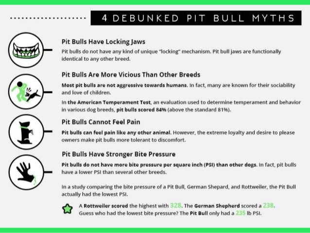 in defense of pit bulls monsters or misunderstood