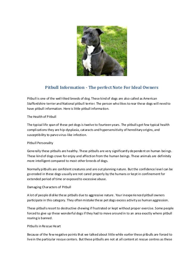 information about pitbull dog