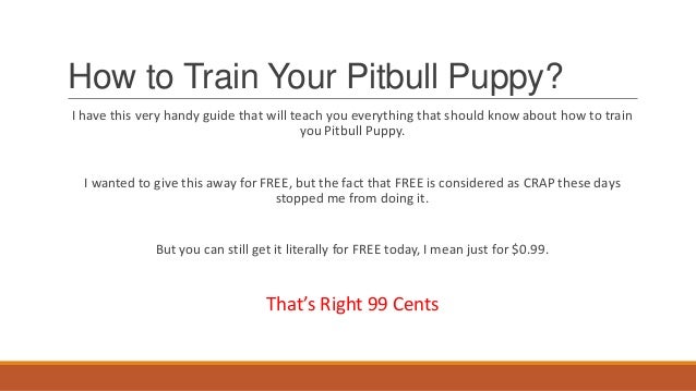 how to your pitbull puppy pitbull puppies how to your pitbull puppy how to your pitbull puppy pitbull puppies how to your pitbull puppy