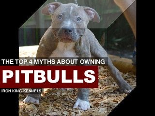 THE TOP 4 MYTHS ABOUT OWNING
PITBULLS
IRON KING KENNELS
 