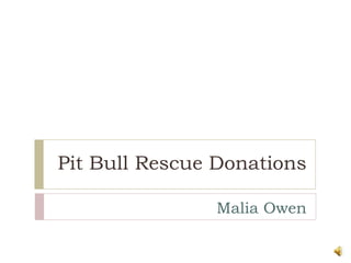 Pit Bull Rescue Donations Malia Owen 
