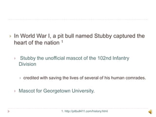 In World War I, a pit bull named Stubby captured the heart of the nation 1Stubby the unofficial mascot of the 102nd Infantry Division credited with saving the lives of several of his human comrades.Mascot for Georgetown University.1. http://pitbull411.com/history.html