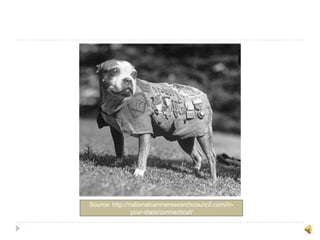 Source: http://nationalcanineresearchcouncil.com/in-your-state/connecticut/