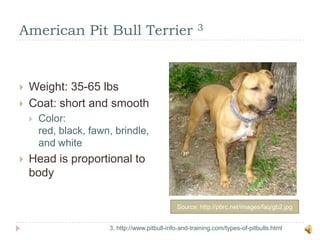 American Pit Bull Terrier 3Source: http://pbrc.net/images/faq/gb2.jpg3. http://www.pitbull-info-and-training.com/types-of-pitbulls.htmlWeight: 35-65 lbsCoat: short and smoothColor:  red, black, fawn, brindle, and whiteHead is proportional to body