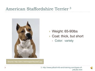 American Staffordshire Terrier 3Source: http://pbrc.net/images/faq/ast3.jpg3. http://www.pitbull-info-and-training.com/types-of-pitbulls.htmlWeight: 65-90lbsCoat: thick, but shortColor:  variety