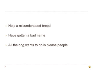 Help a misunderstood breedHave gotten a bad name All the dog wants to do is please people