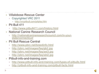 Villalobose Rescue CenterCopyrighted VRC 2011http://vrcpitbull.com/pitplay.htm Pit Bull 411http://www.pitbull411.com/history.html National Canine Research Councilhttp://nationalcanineresearchcouncil.com/in-your-state/connecticut/ Pit Bull Rescue Centralhttp://www.pbrc.net/breedinfo.htmlhttp://pbrc.net/images/faq/gb2.jpghttp://pbrc.net/images/faq/ast3.jpghttp://pbrc.net/images/faq/sbt2.jpg Pitbull-info-and-training.comhttp://www.pitbull-info-and-training.com/types-of-pitbulls.htmlhttp://pitbull-info-and-training.com/pitbull-facts.html