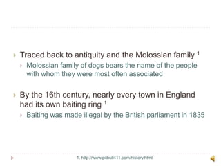 Traced back to antiquity and the Molossian family 1Molossian family of dogs bears the name of the people with whom they were most often associated By the 16th century, nearly every town in England had its own baiting ring 1Baiting was made illegal by the British parliament in 18351. http://www.pitbull411.com/history.html