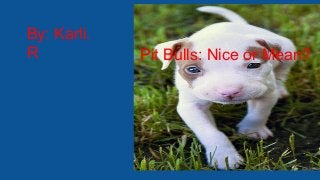 By: Karli.
R

Pit Bulls: Nice or Mean?

 