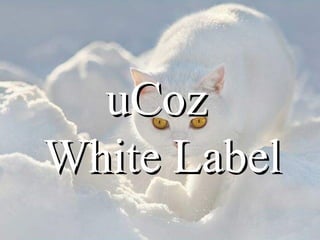 uCoz  White   Label  