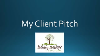 My Client Pitch
 