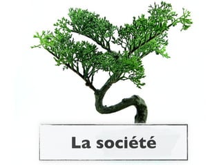 La société
 