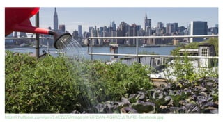 http://i.huffpost.com/gen/1463555/images/o-URBAN-AGRICULTURE-facebook.jpg
 