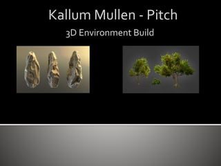 Kallum Mullen - Pitch
3D Environment Build
 