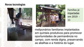 Novas tecnologias
meliponários familiares implantados
em quintais produtivos para promover
oportunidades de permanência no
campo, com renda digna, preservando
as abelhas e a história do lugar.
Famílias já
impactadas
em 2019 -
11
 