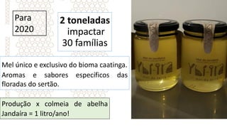2 toneladas
impactar
30 famílias
Para
2020
Mel único e exclusivo do bioma caatinga.
Aromas e sabores específicos das
floradas do sertão.
Produção x colmeia de abelha
Jandaíra = 1 litro/ano!
 