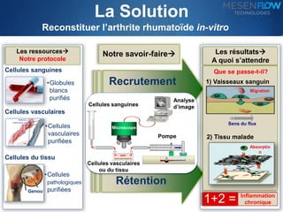 La Solution 
Reconstituer l’arthrite rhumatoïde in-vitro 
Les ressources 
Notre protocole 
Cellules sanguines 
Cellules vasculaires 
Cellules du tissu 
Genou 
•Globules 
blancs 
purifiés 
•Cellules 
vasculaires 
purifiées 
•Cellules 
pathologiques 
purifiées 
Les résultats 
A quoi s’attendre 
Recrutement 
Microscope 
Rétention 
Que se passe-t-il? 
1) Vaisseaux sanguin 
Migration 
Sens du flux 
2) Tissu malade 
Absorptio 
n 
1+2 = Inflammation 
chronique 
Notre savoir-faire 
Cultured cells 
Analyse 
Cellules sanguines d’image 
Pompe 
Cellules vasculaires 
ou du tissu 
 