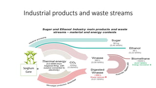 Industrial products and waste streams
Sorghum
Cane
 